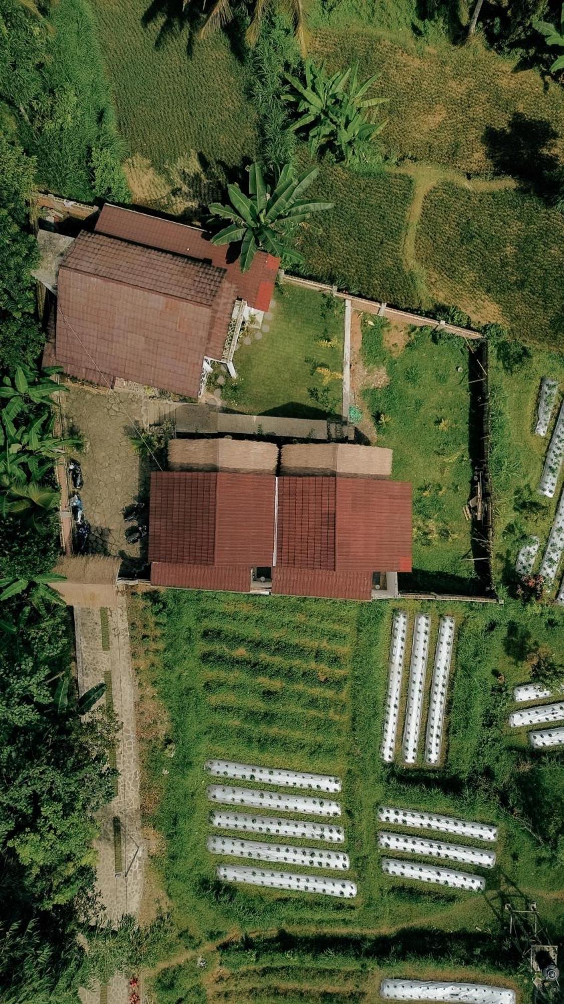 Alora House Lombok Tete Batu Otel Tetebatu Dış mekan fotoğraf