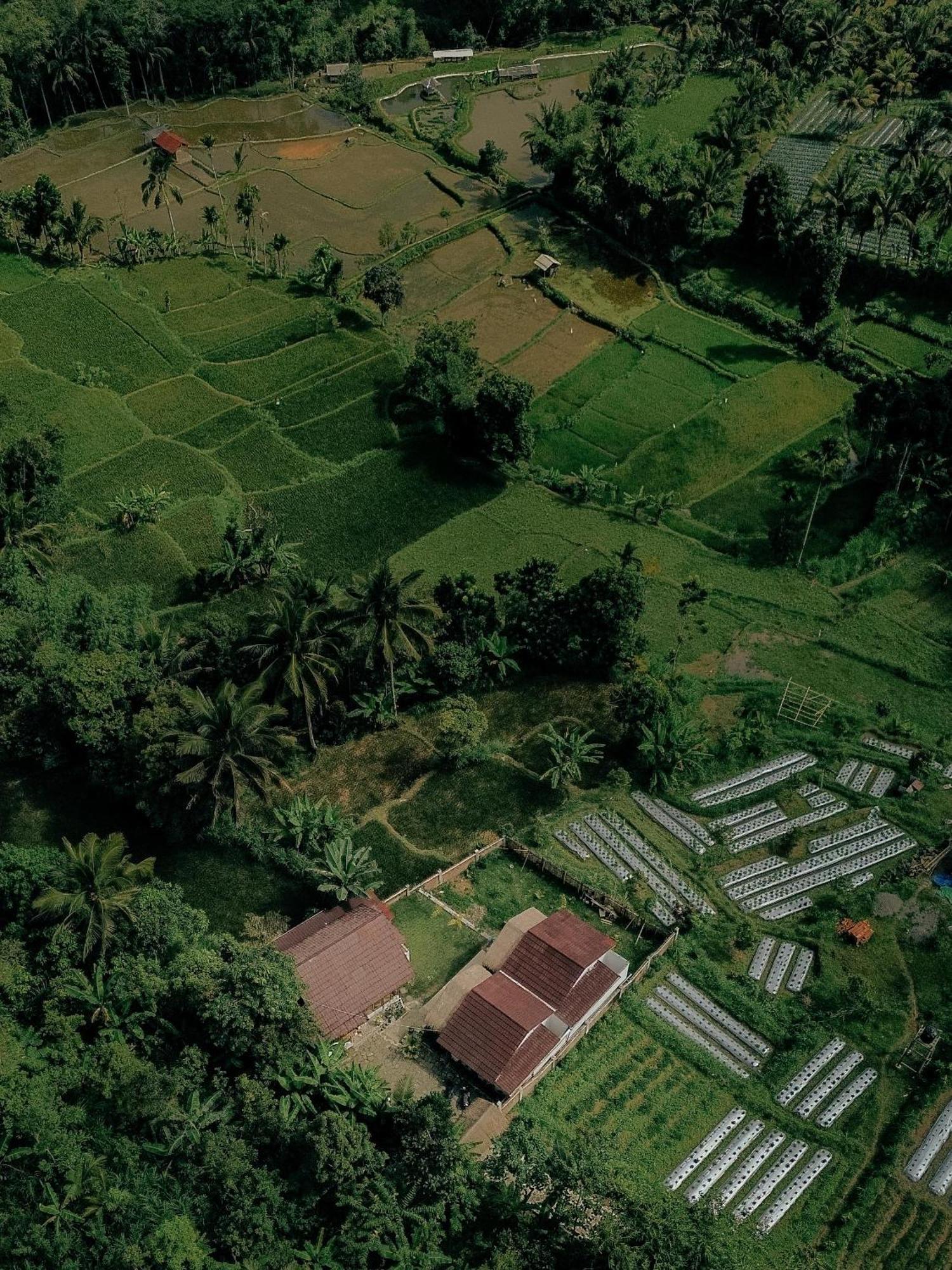 Alora House Lombok Tete Batu Otel Tetebatu Dış mekan fotoğraf