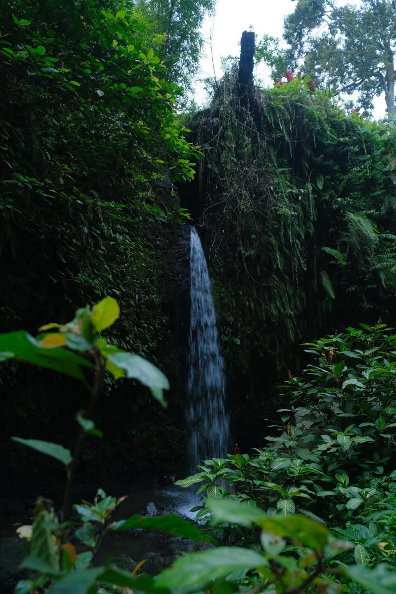 Alora House Lombok Tete Batu Otel Tetebatu Dış mekan fotoğraf